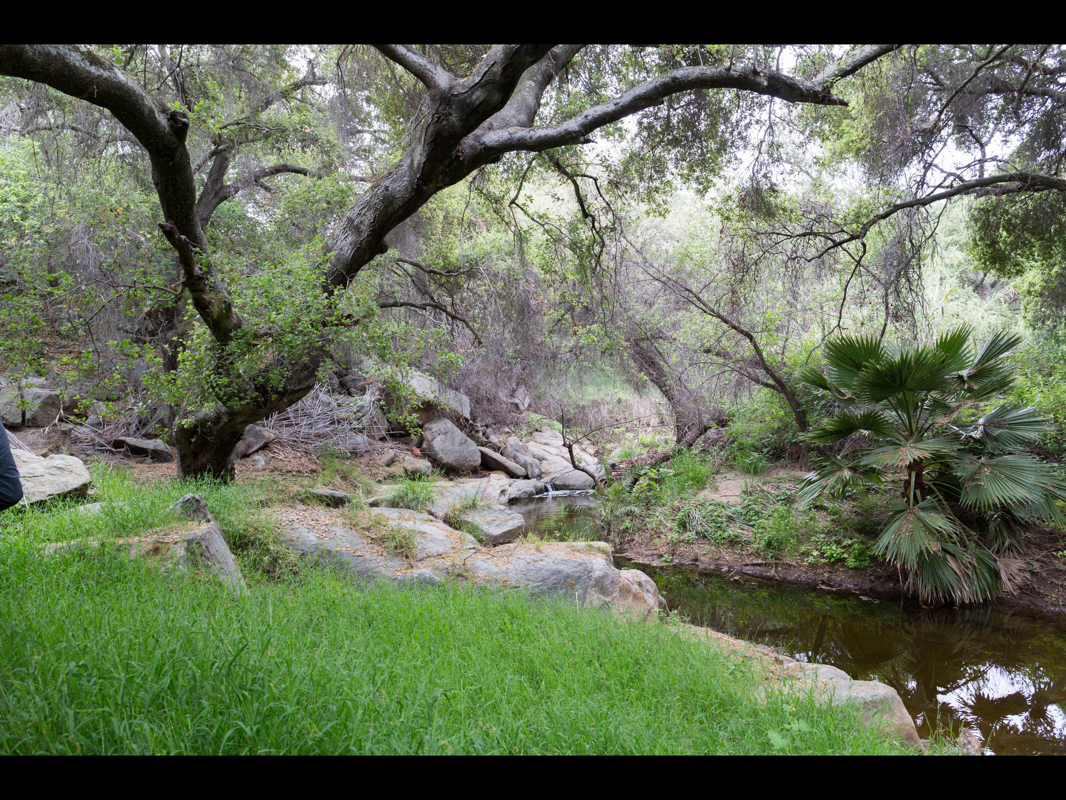 Camper submitted image from Chandelier Springs - 5