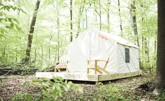 The Dyrt's photo at Creekside Woods Getaway near Spring City, PA