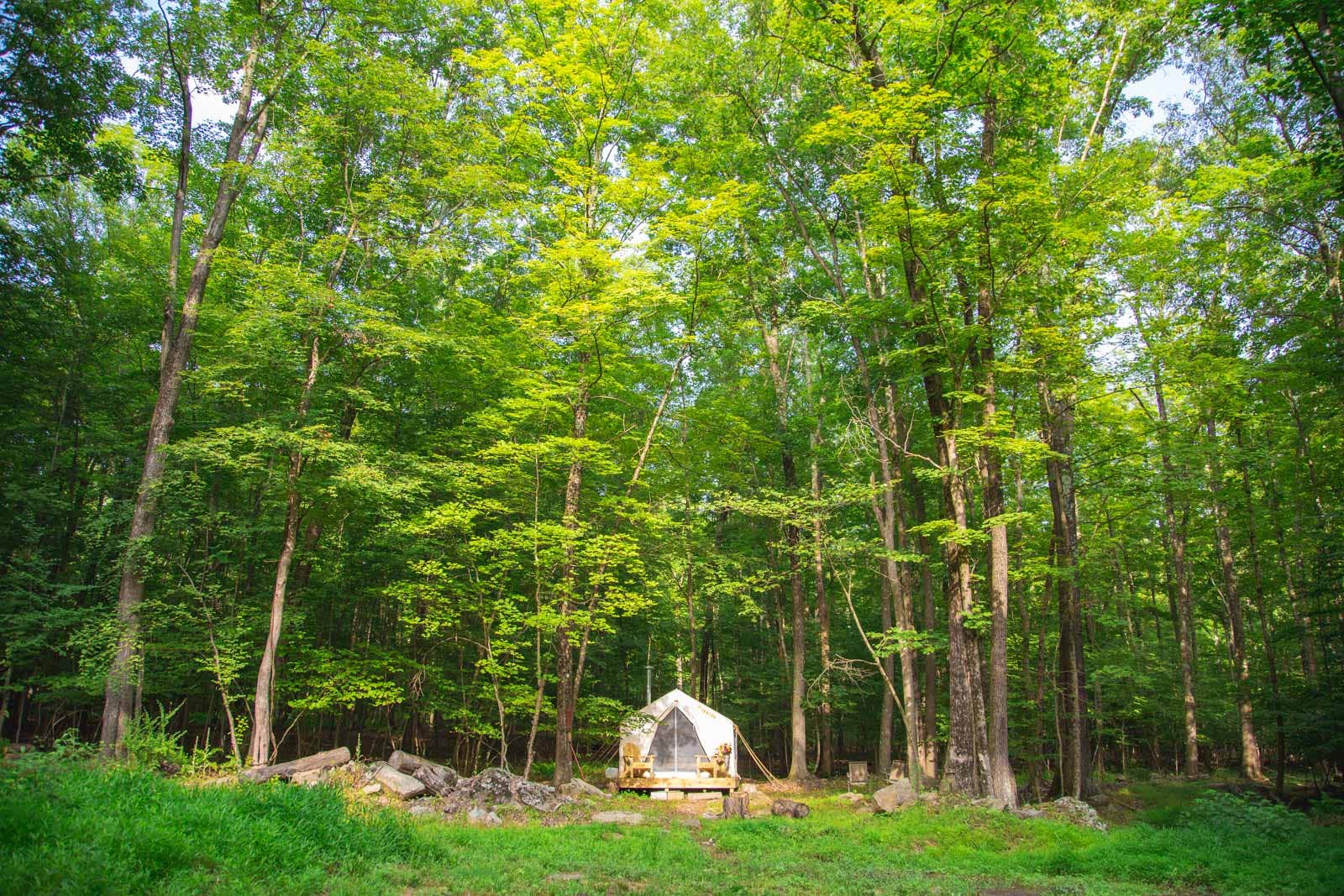 The Dyrt's photo at Kamp Kimberg North near Ulster Park, NY
