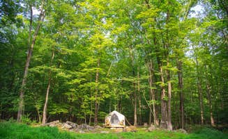 The Dyrt's photo at Kamp Kimberg North near Hurley, NY