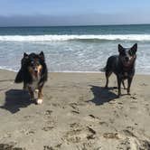 Review photo of Burlingame State Park Campground by Molly G., September 15, 2016