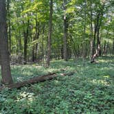 Review photo of Maquoketa Caves State Park Campground by Brian O., October 2, 2024