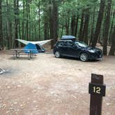 Review photo of Bear Brook State Park Campground by Kristen B., September 15, 2016