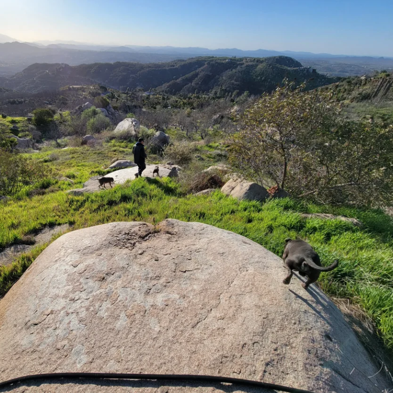 Vanlife Campground Community In Coastal Mountains | Fallbrook, California