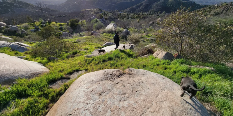 Camper submitted image from Vanlife Campground Community In Coastal Mountains