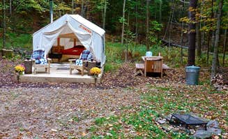 The Dyrt's photo at Camp Cozie Nook near Hawley, MA