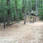 Review photo of Bear Brook State Park Campground by Kristen B., September 15, 2016