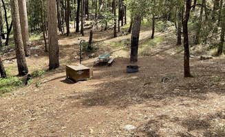 The Dyrt's photo at Sheep Camp Primitive Campground — Whiskeytown-Shasta-Trinity National Recreation Area near Redding, CA