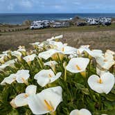 Review photo of Salt Point State Park Campground by Shari  G., October 7, 2024