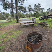 Review photo of Salt Point State Park Campground by Shari  G., October 7, 2024