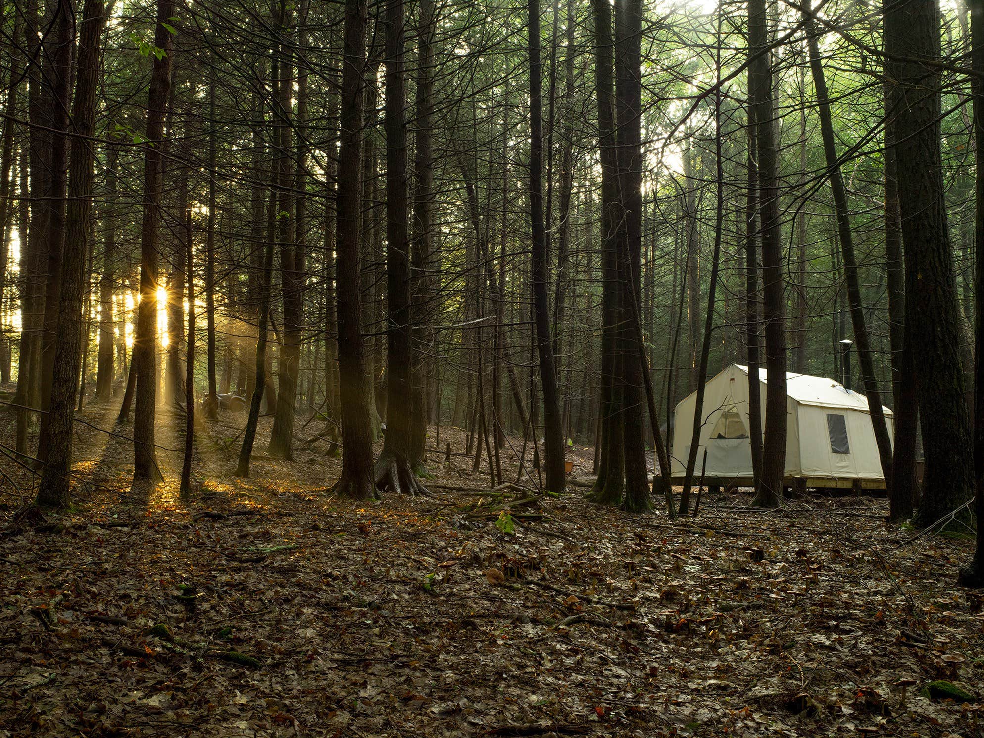 The Dyrt's photo at Waterfall Paradise, Walking Distance to River near Cuddebackville, NY