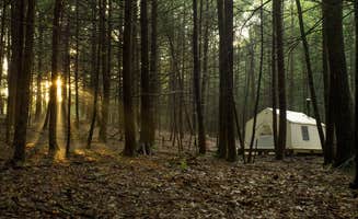 The Dyrt's photo at Waterfall Paradise, Walking Distance to River near Cuddebackville, NY