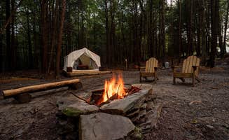 The Dyrt's photo at Waterfall Paradise, Walking Distance to River near Cuddebackville, NY