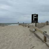 Review photo of Assateague State Park Campground by Lee D., October 7, 2024