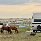 Review photo of Assateague State Park Campground by Lee D., October 7, 2024