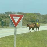 Review photo of Assateague State Park Campground by Lee D., October 7, 2024