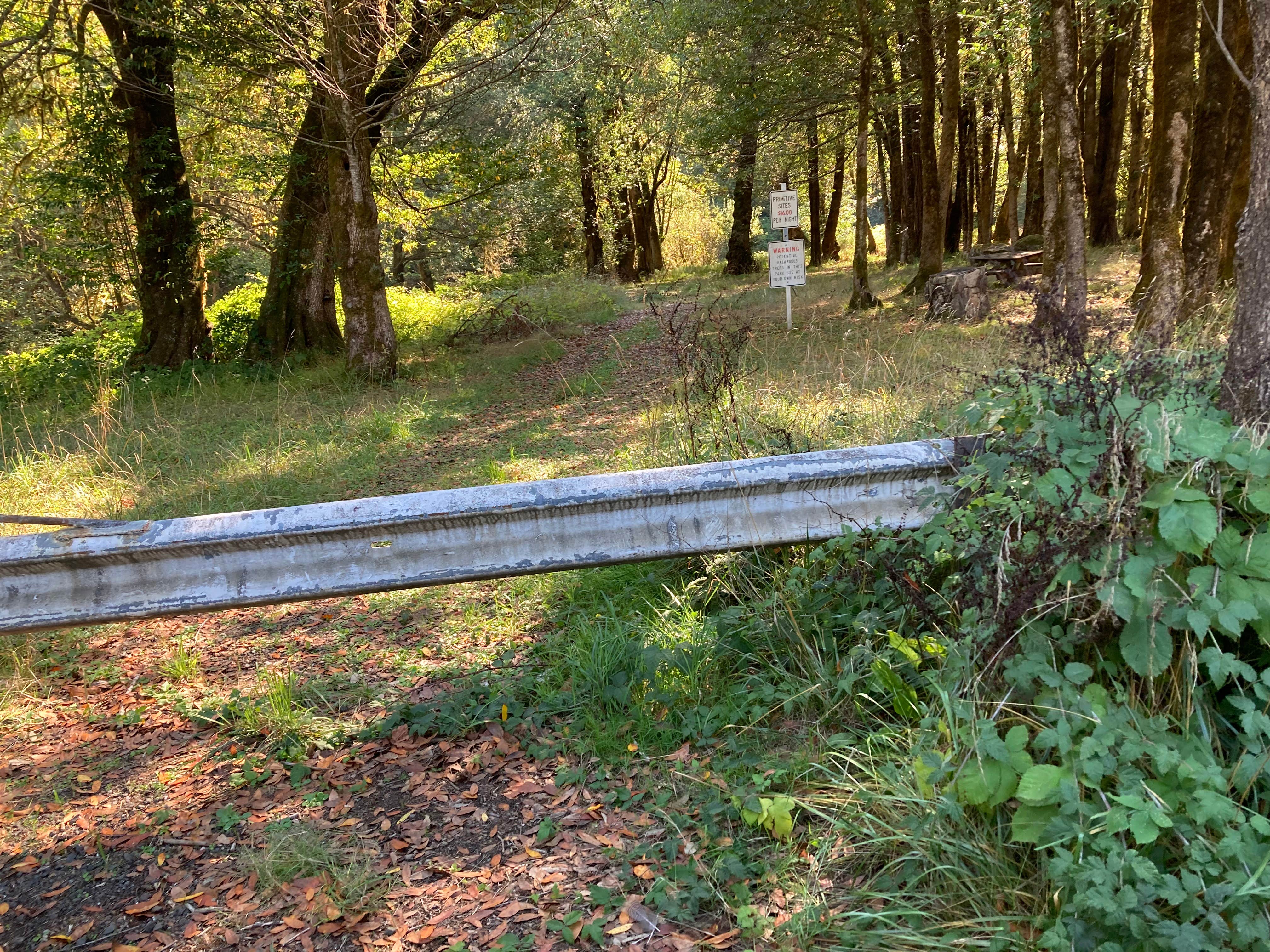 Camper-submitted photo at Ham Bunch Cherry Creek Park near Camas Valley, OR