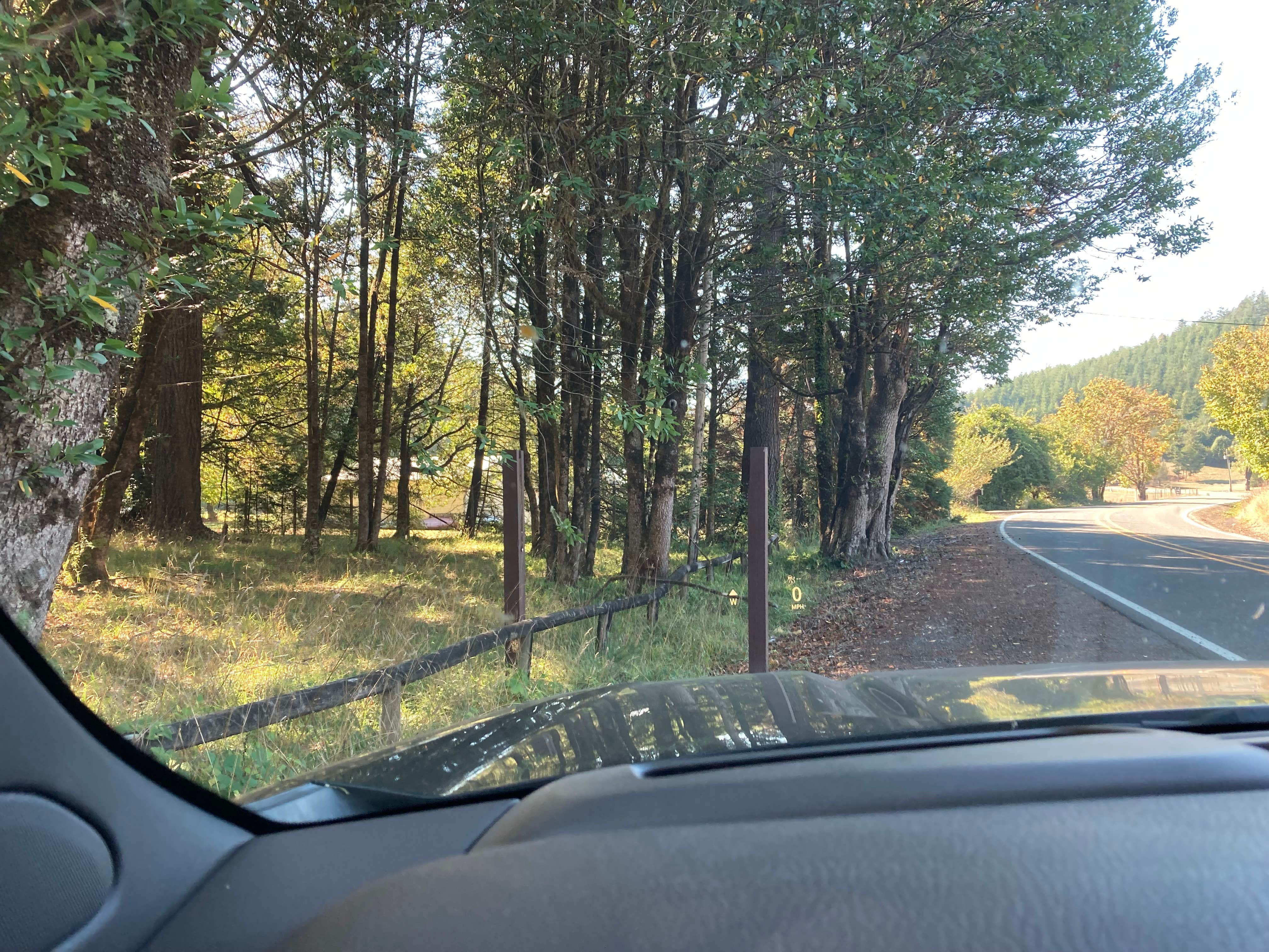 Camper-submitted photo at Ham Bunch Cherry Creek Park near Camas Valley, OR