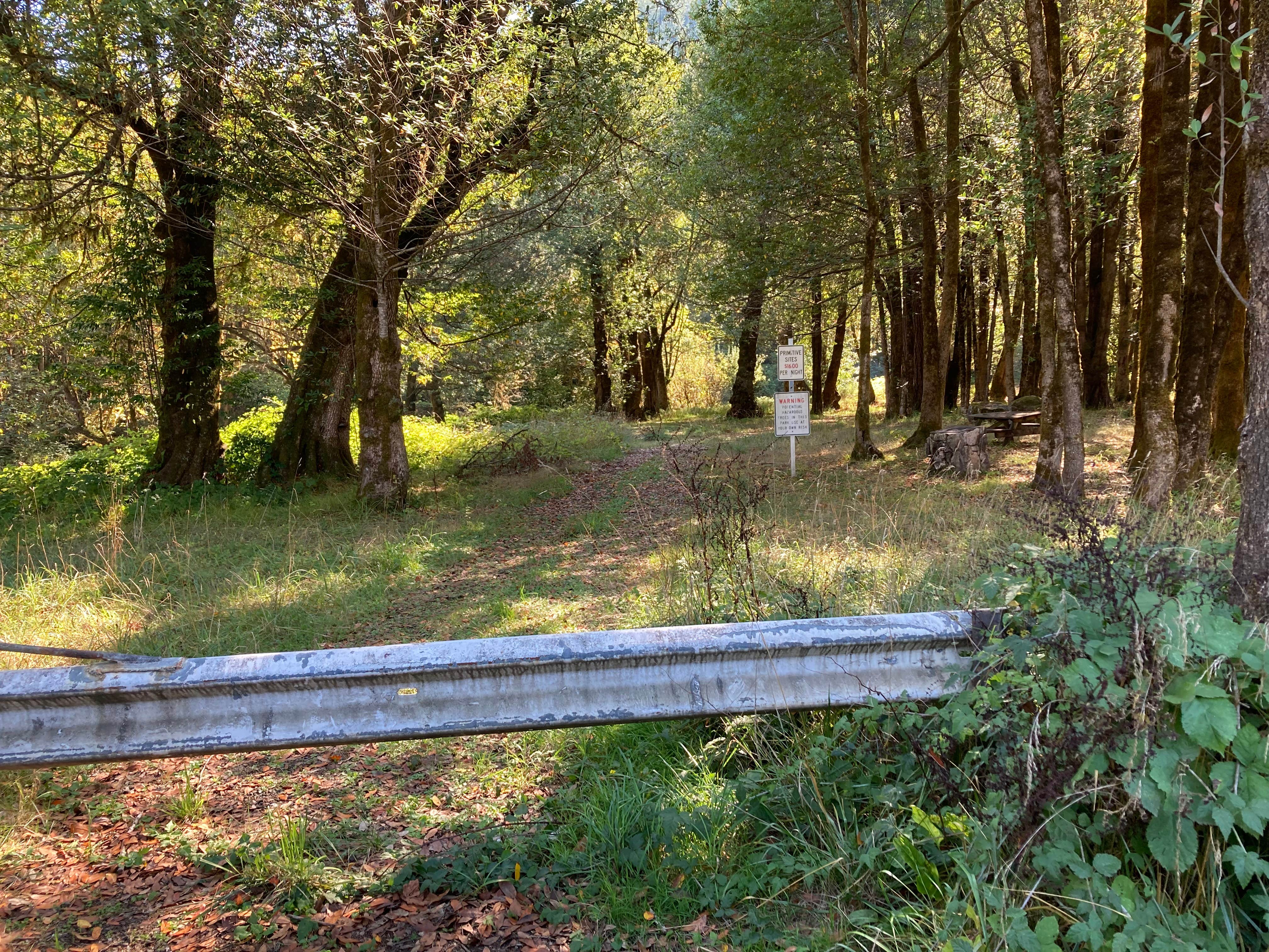 Camper-submitted photo at Ham Bunch Cherry Creek Park near Camas Valley, OR
