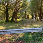 Review photo of Ham Bunch Cherry Creek Park by OffgridAdventures , October 7, 2024