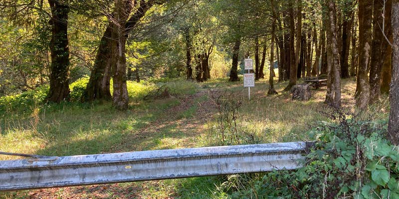 Camper submitted image from Ham Bunch Cherry Creek Park