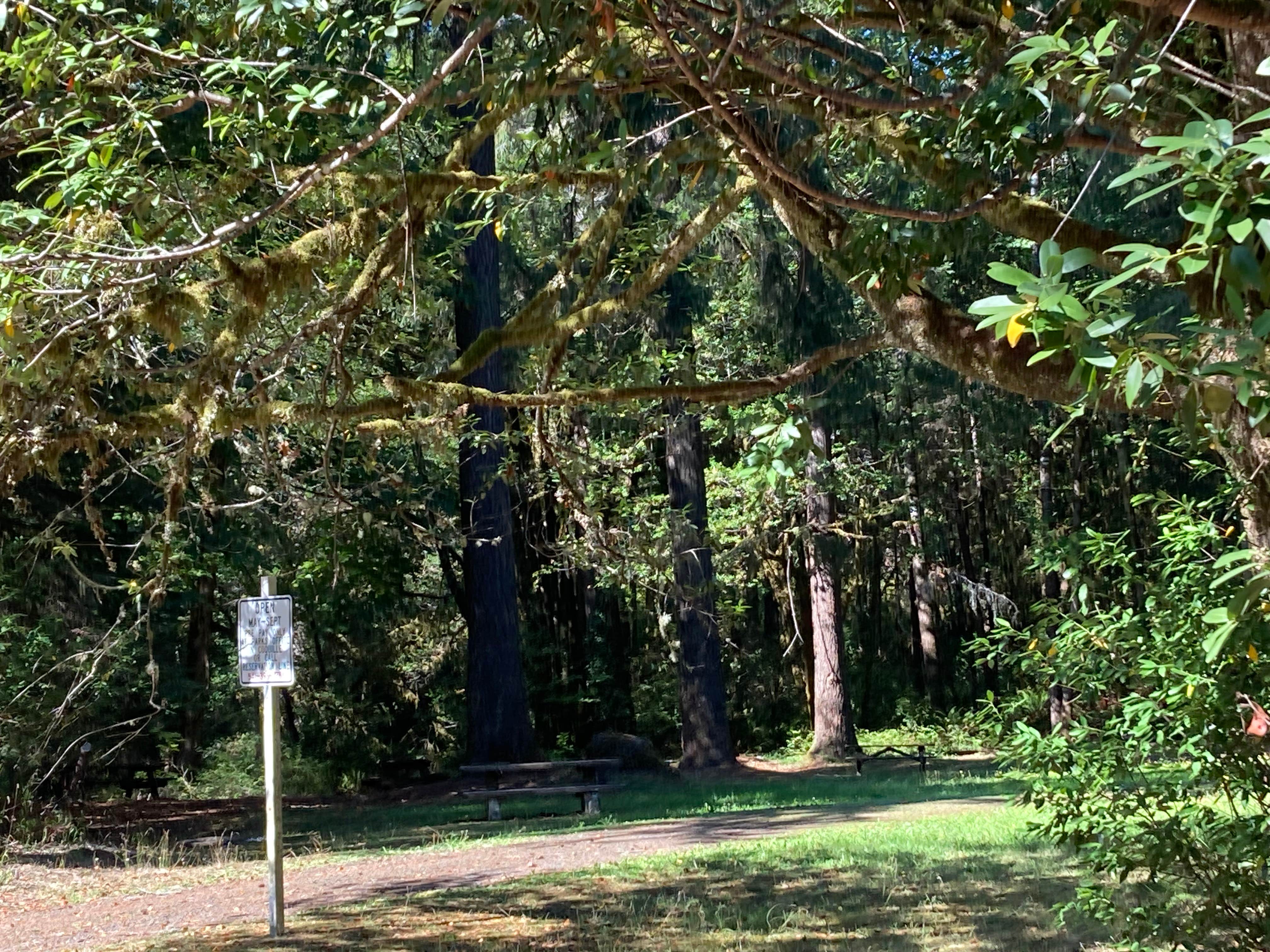 Camper-submitted photo at Frona County Park near Camas Valley, OR