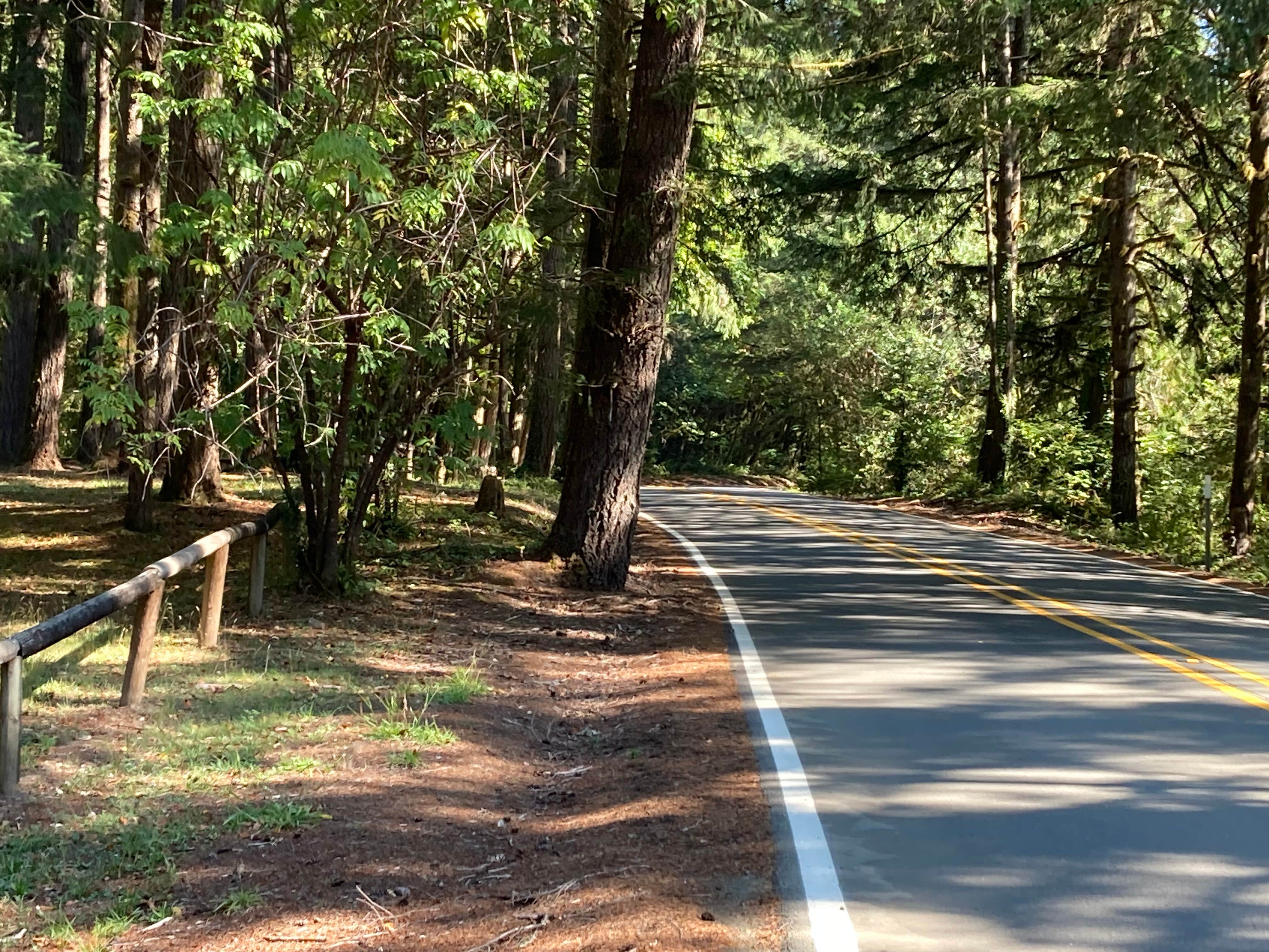 Camper-submitted photo at Frona County Park near Camas Valley, OR