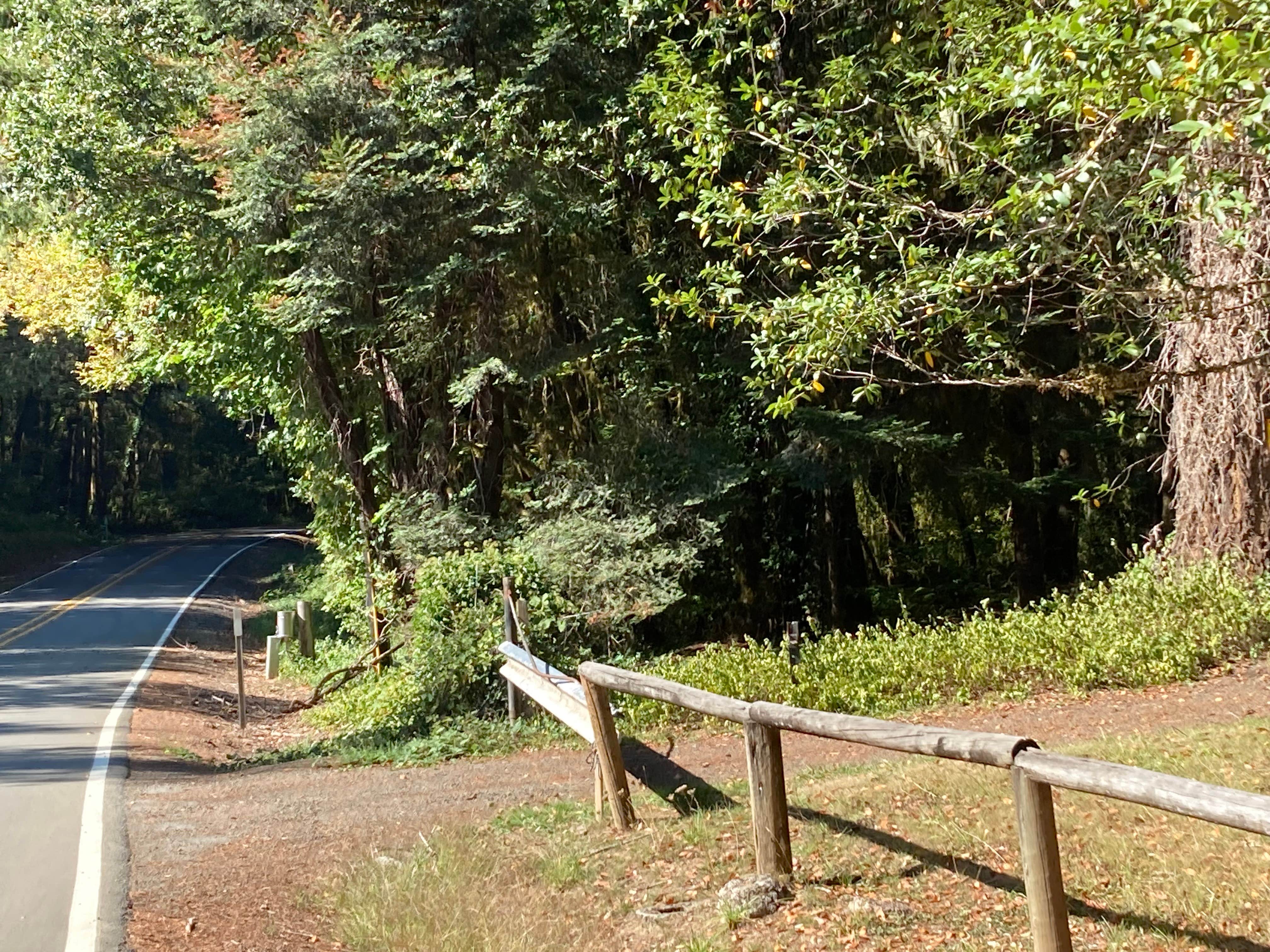 Camper-submitted photo at Frona County Park near Camas Valley, OR