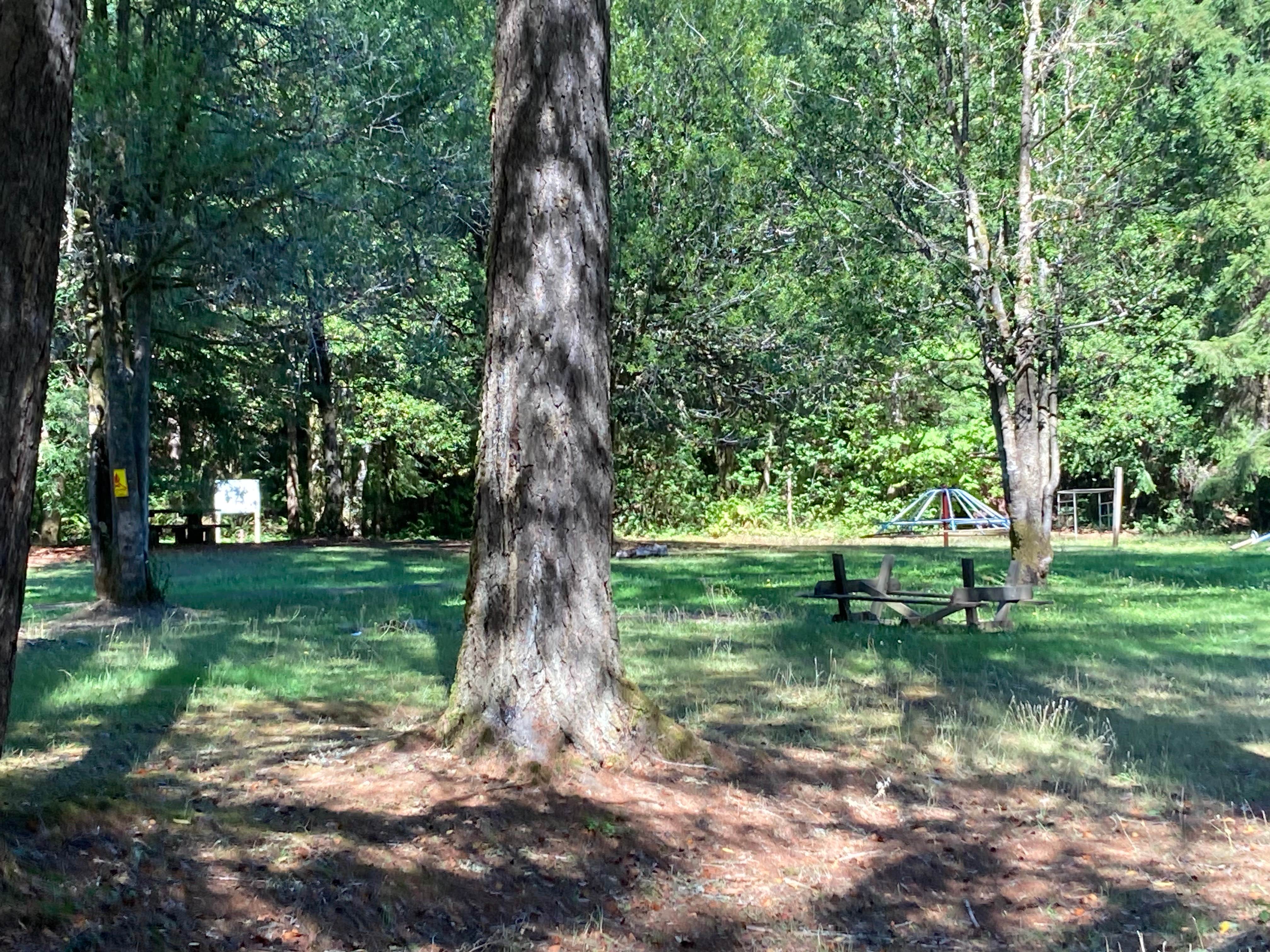 Camper-submitted photo at Frona County Park near Camas Valley, OR