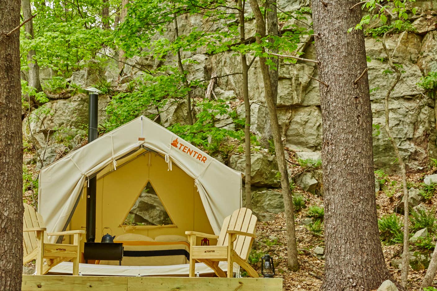 The Dyrt's photo at Red Fox Forest near Ulster Park, NY