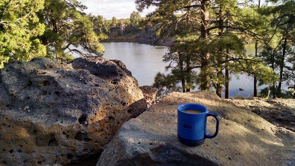 Camper submitted image from Fool Hollow Lake Recreation Area Campground - 1