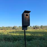 Review photo of COE Lake Sakakawea Downstream Campground by Lee D., October 8, 2024