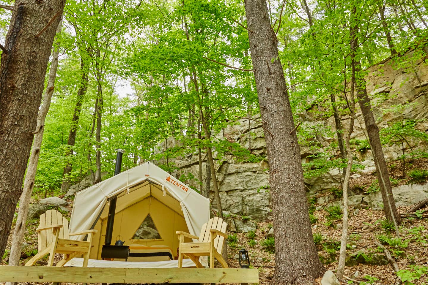 The Dyrt's photo at Red Fox Forest near Staatsburg, NY