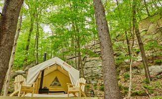 The Dyrt's photo at Red Fox Forest near Hurley, NY