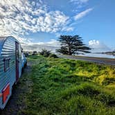 Review photo of Bodega Dunes Campground — Sonoma Coast State Park by Shari  G., October 8, 2024