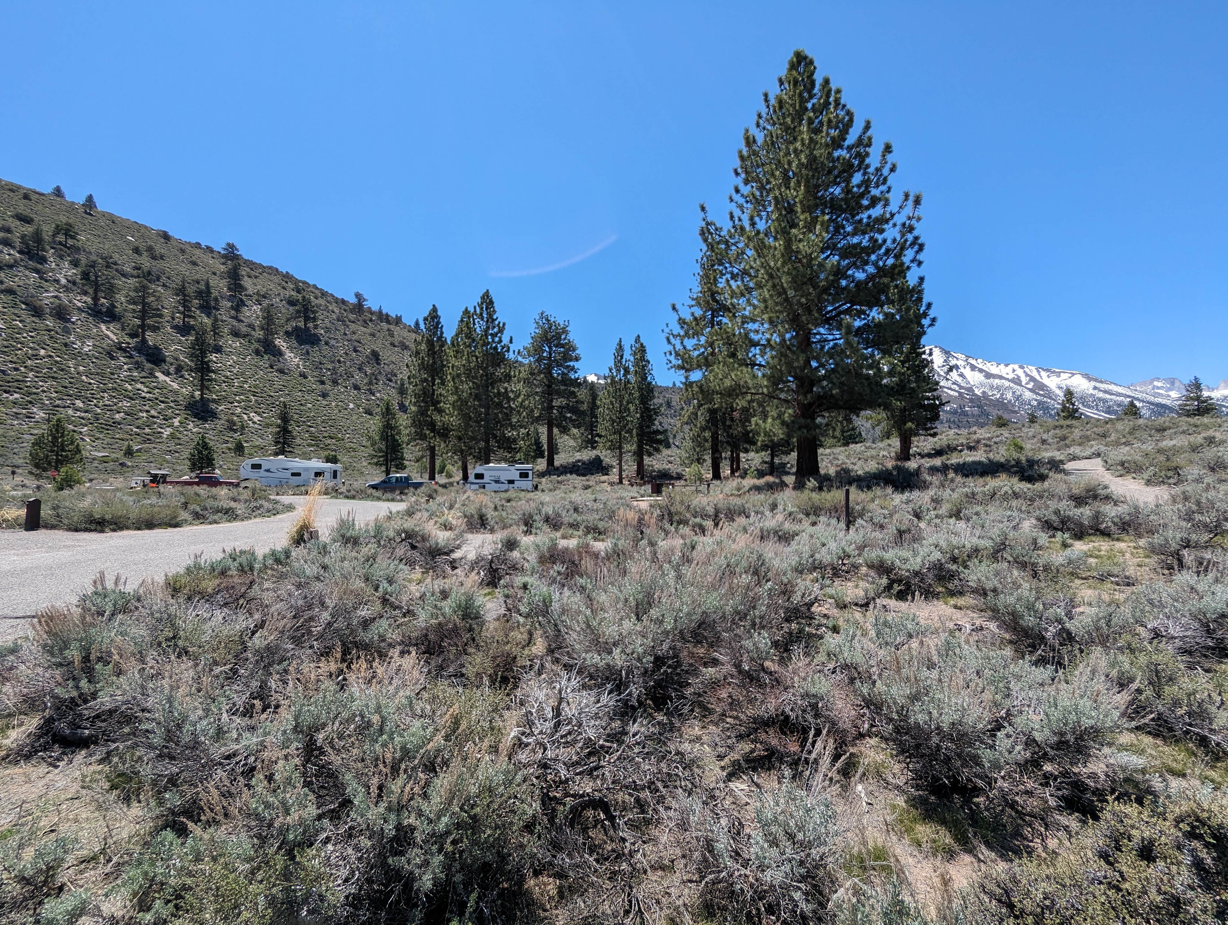 Camper-submitted photo at Crags Campground near Bridgeport, CA