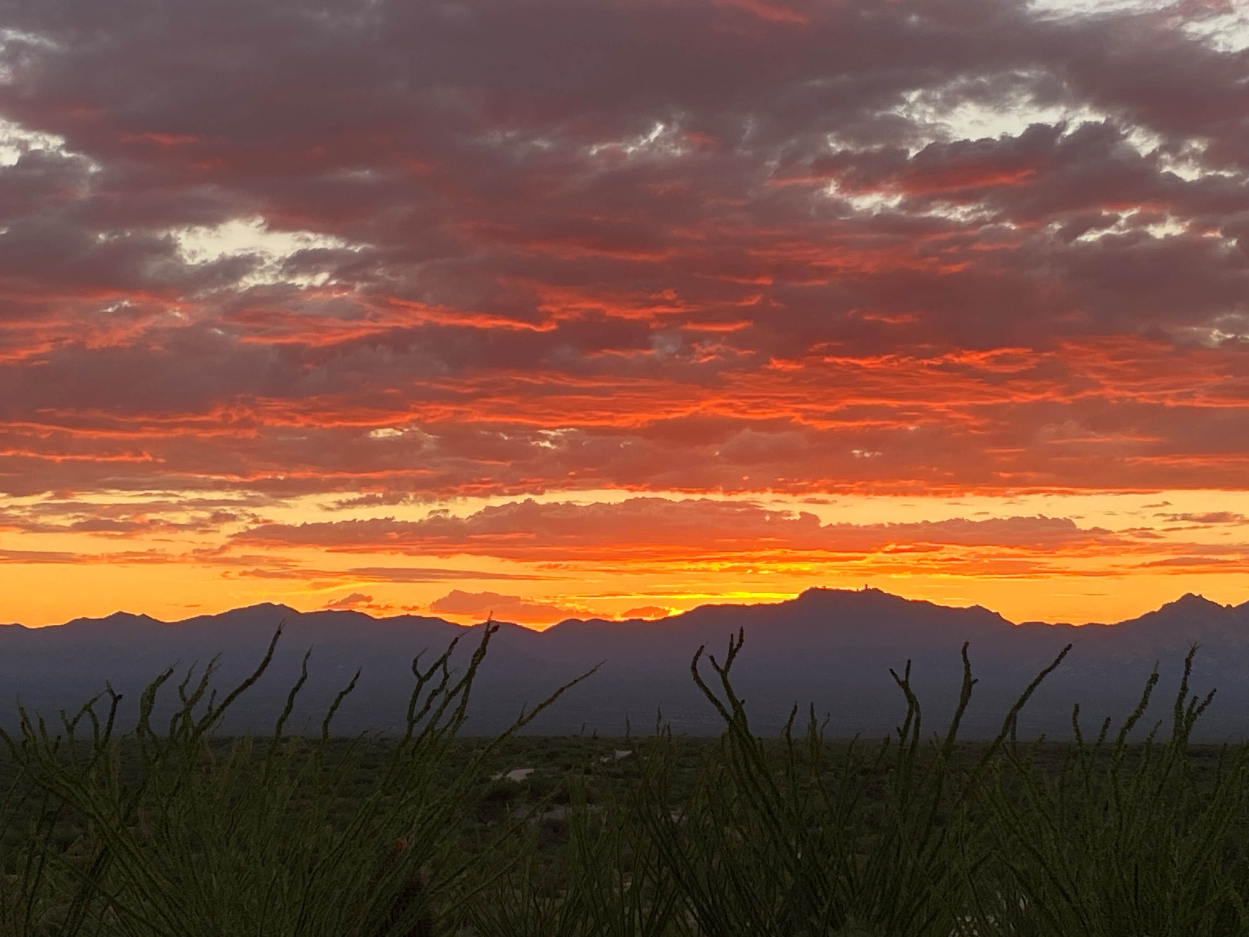Camper-submitted photo at Caballo Loco Ranch and RV Park near Topawa, AZ