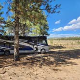 Review photo of Tom's Best Spring Road Dixie National Forest by Garrett B., October 9, 2024