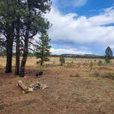 Review photo of Tom's Best Spring Road Dixie National Forest by Garrett B., October 9, 2024