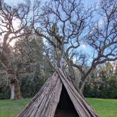 Review photo of Indian Grinding Rock State Historical Park Campground by Shari  G., October 9, 2024