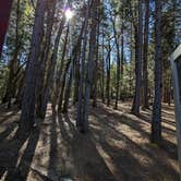 Review photo of Indian Grinding Rock State Historical Park Campground by Shari  G., October 9, 2024