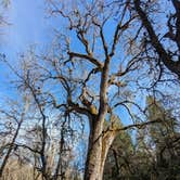 Review photo of Indian Grinding Rock State Historical Park Campground by Shari  G., October 9, 2024