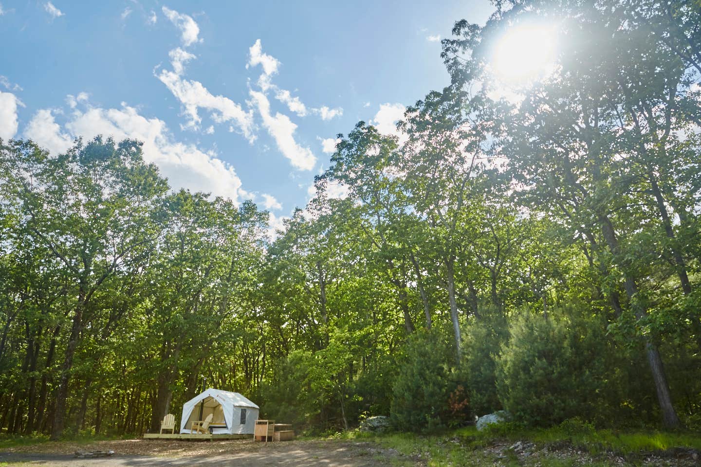 The Dyrt's photo at Abandoned Zoo: Overlook Site near West Coxsackie, NY
