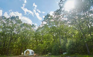 The Dyrt's photo at Abandoned Zoo: Overlook Site near Round Top, NY