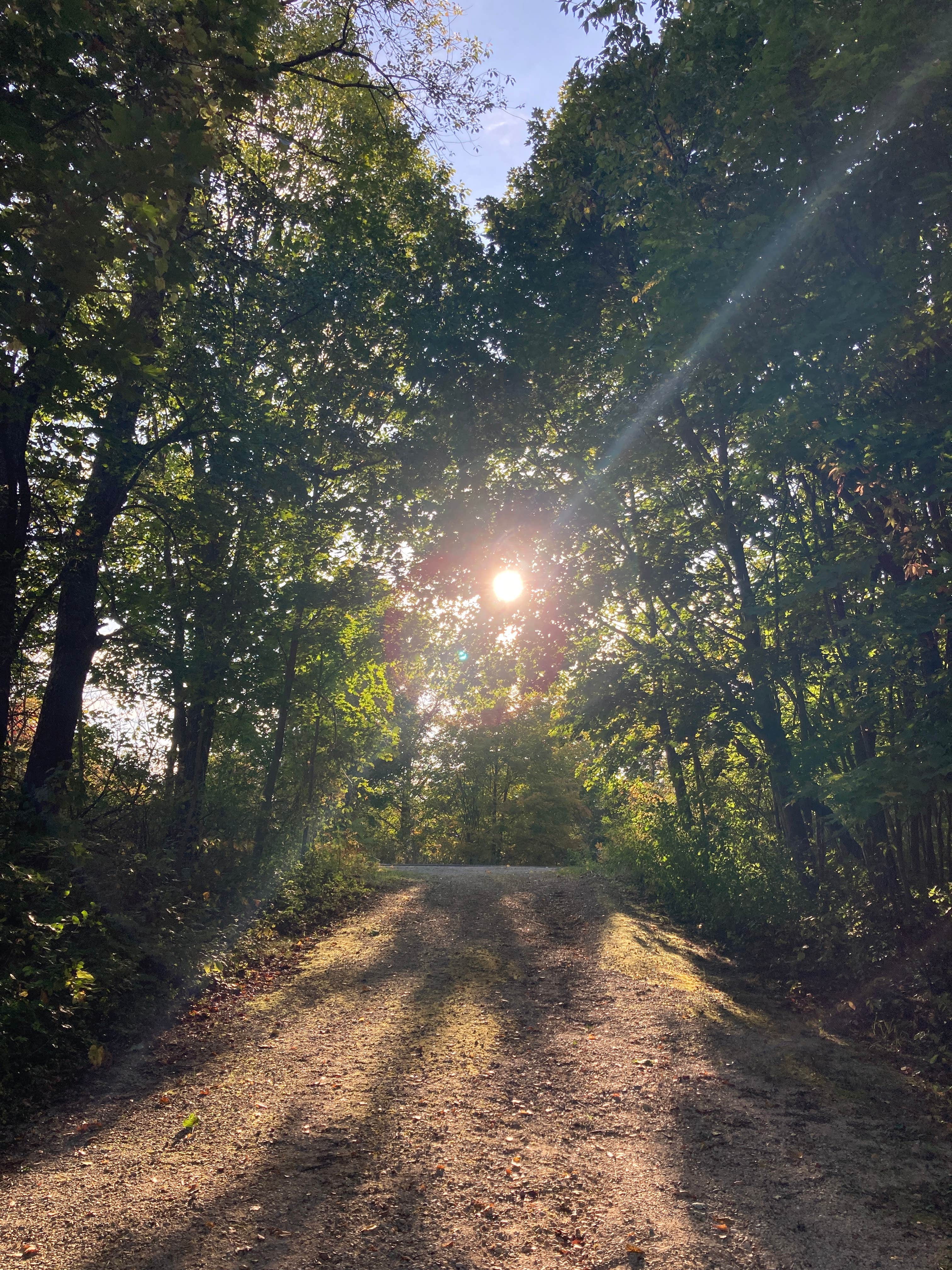 Camper submitted image from Whitewater Lake — Kettle Moraine State Forest-Southern Unit - 5