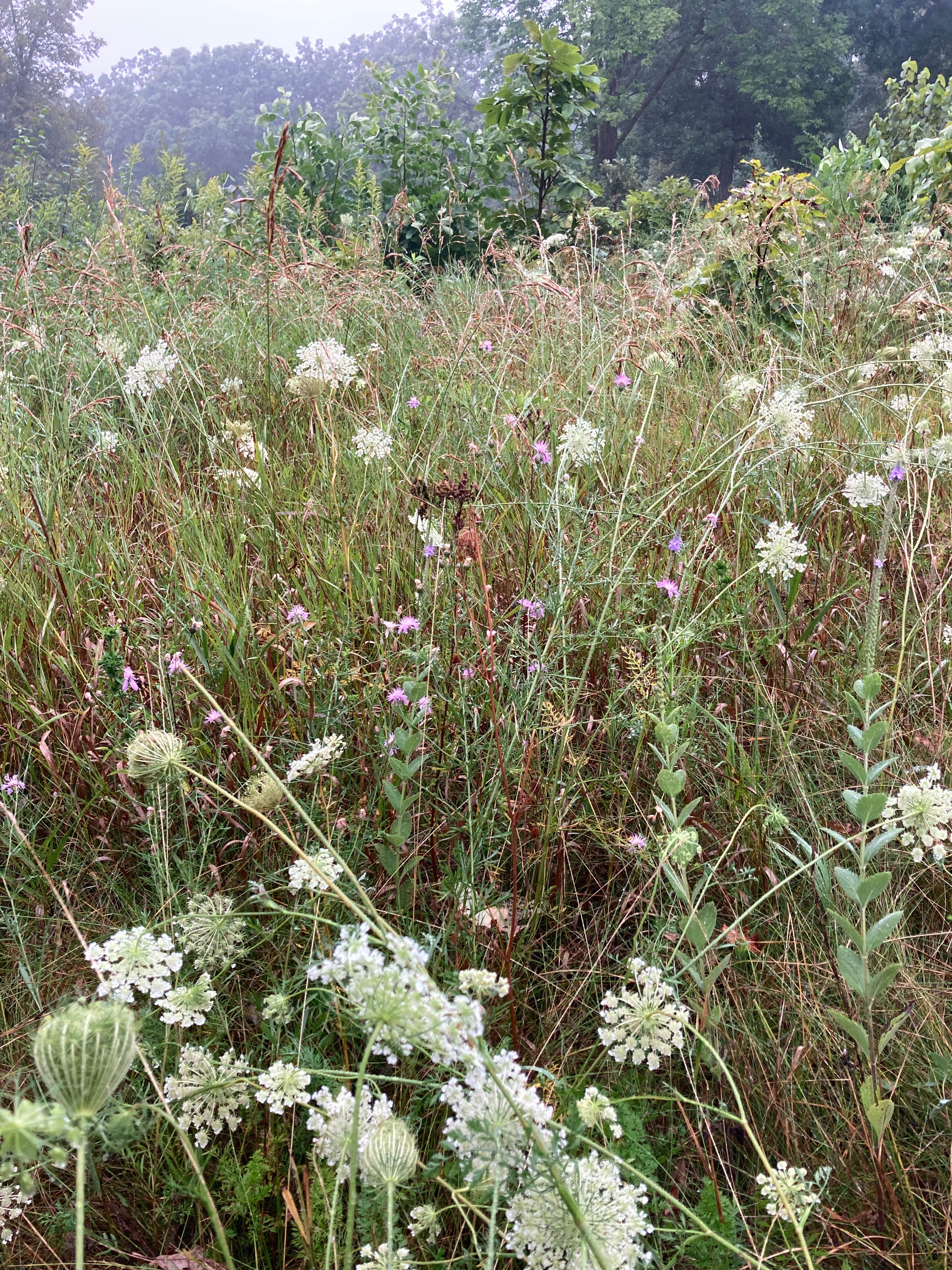 Camper-submitted photo at Mukwonago Park by Waukesha County Parks near Delafield, WI