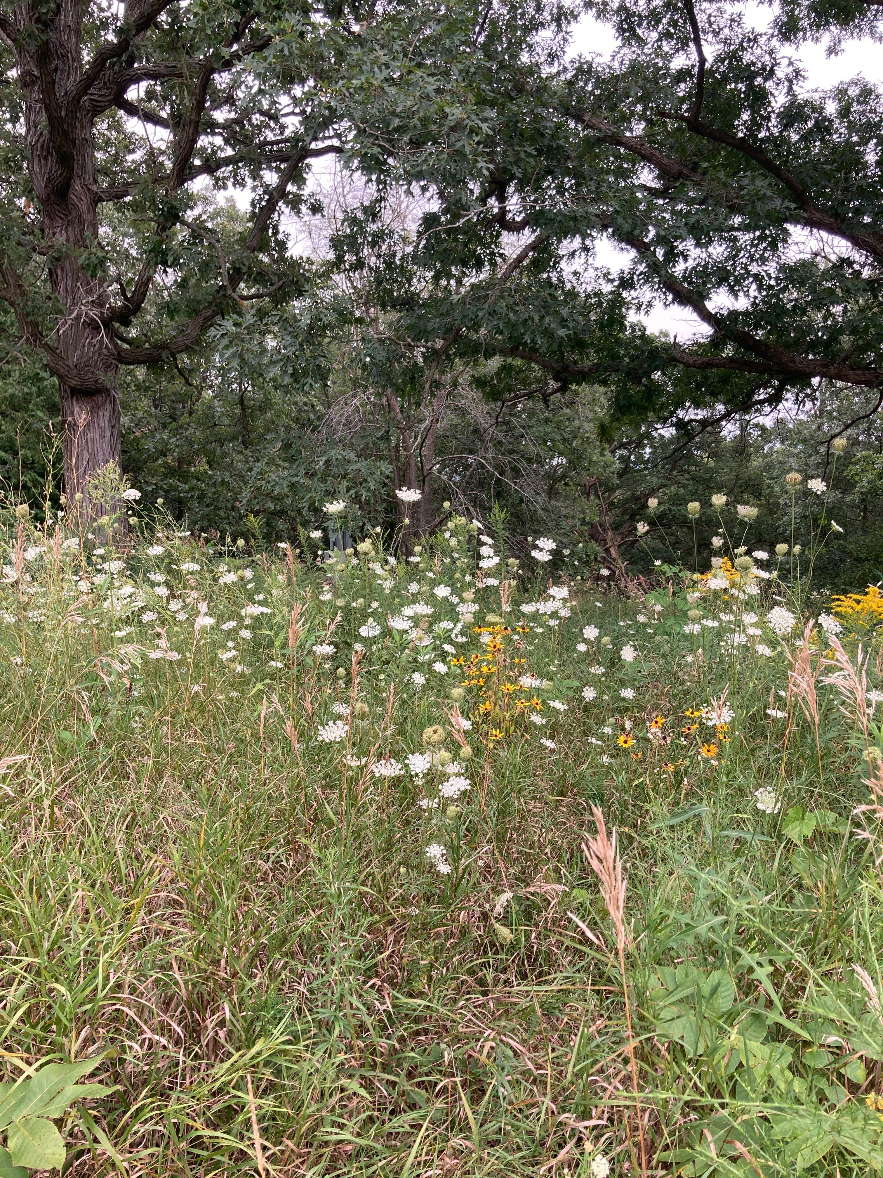 Camper-submitted photo at Mukwonago Park by Waukesha County Parks near Delafield, WI