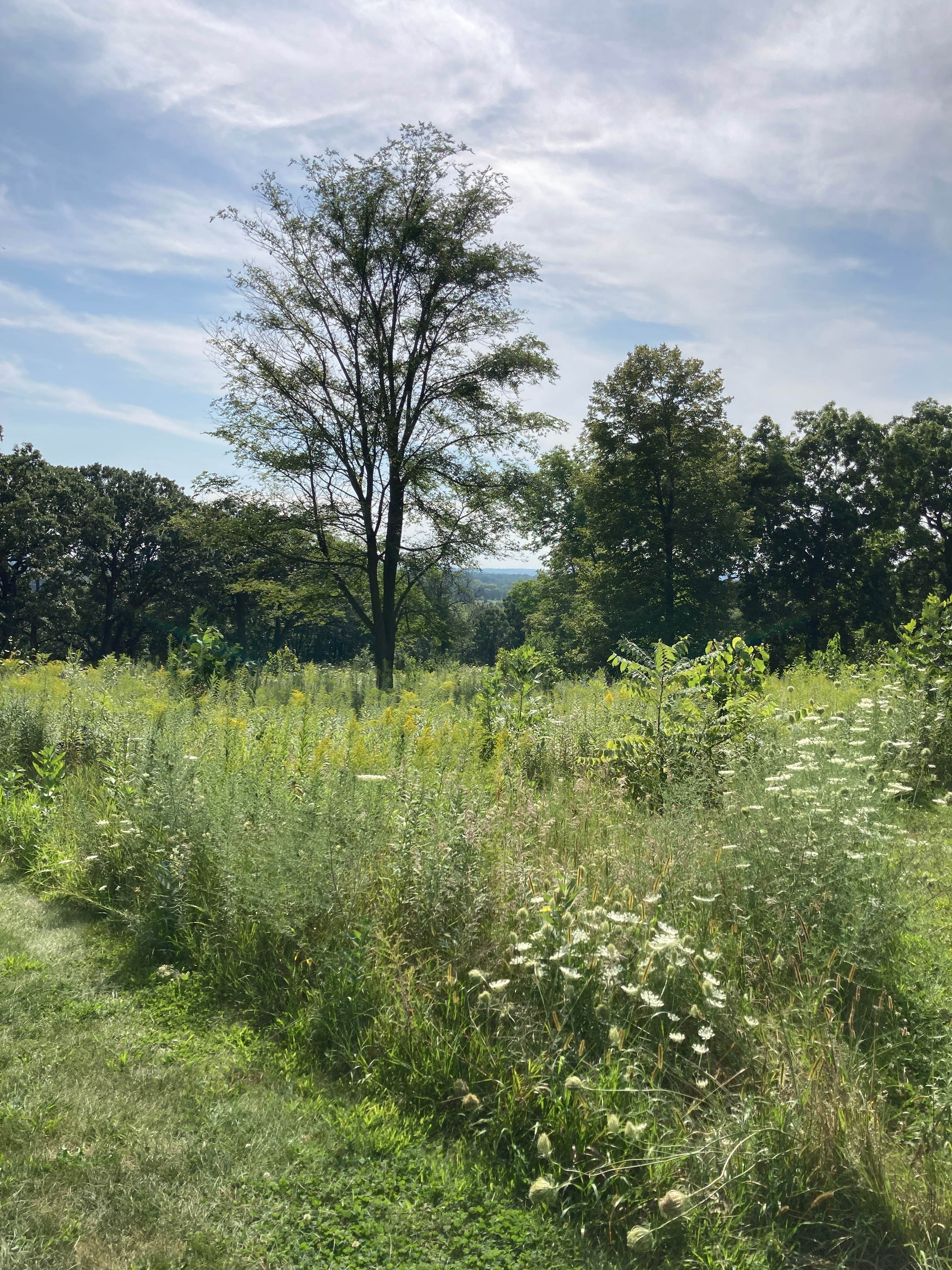 Camper submitted image from Mukwonago Park by Waukesha County Parks - 1