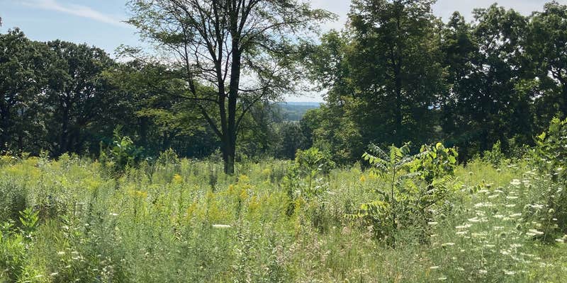 Camper submitted image from Mukwonago Park by Waukesha County Parks