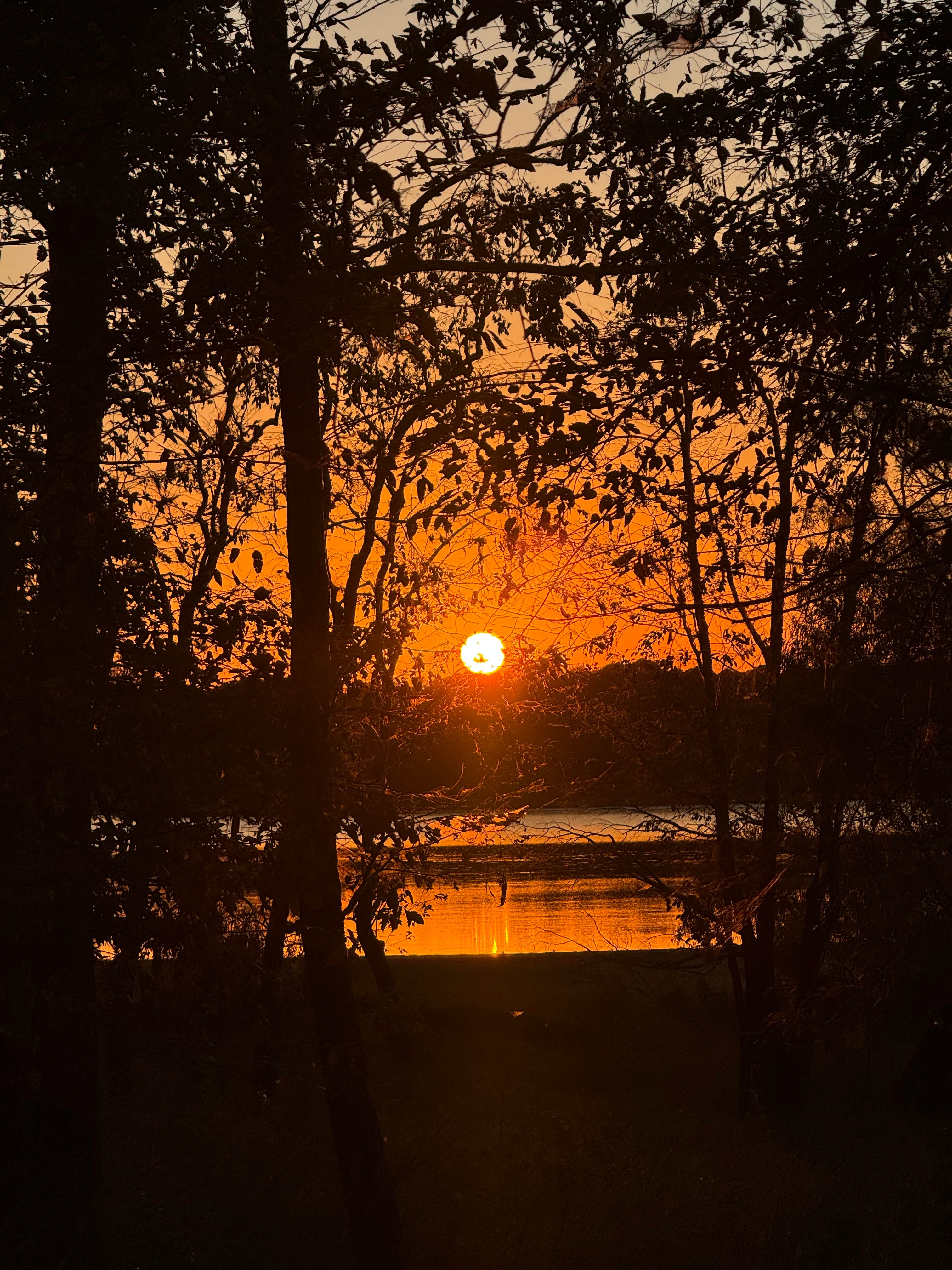 Camper-submitted photo at Tompkins Bend near Oden, AR